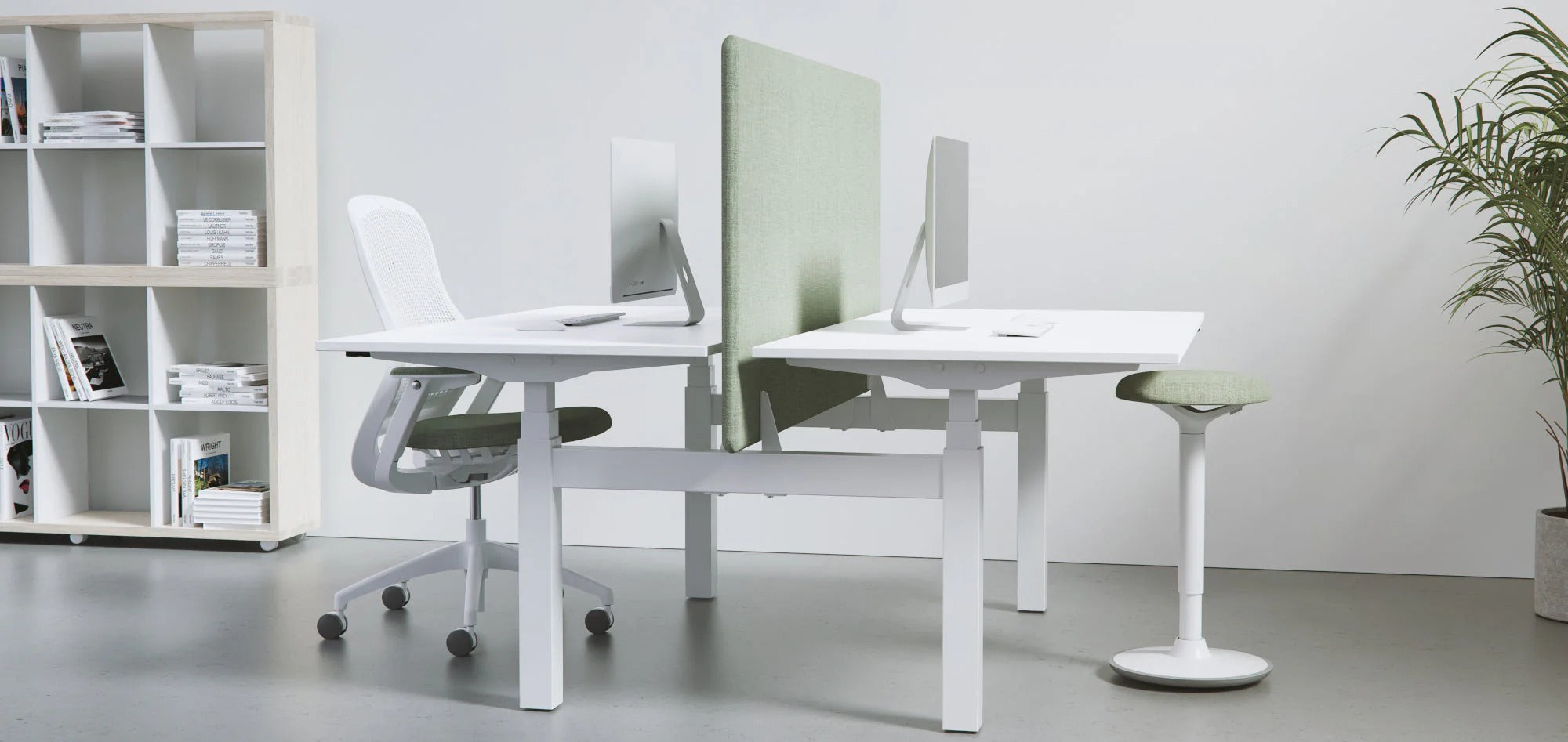 Back-to-Back Standing Desks