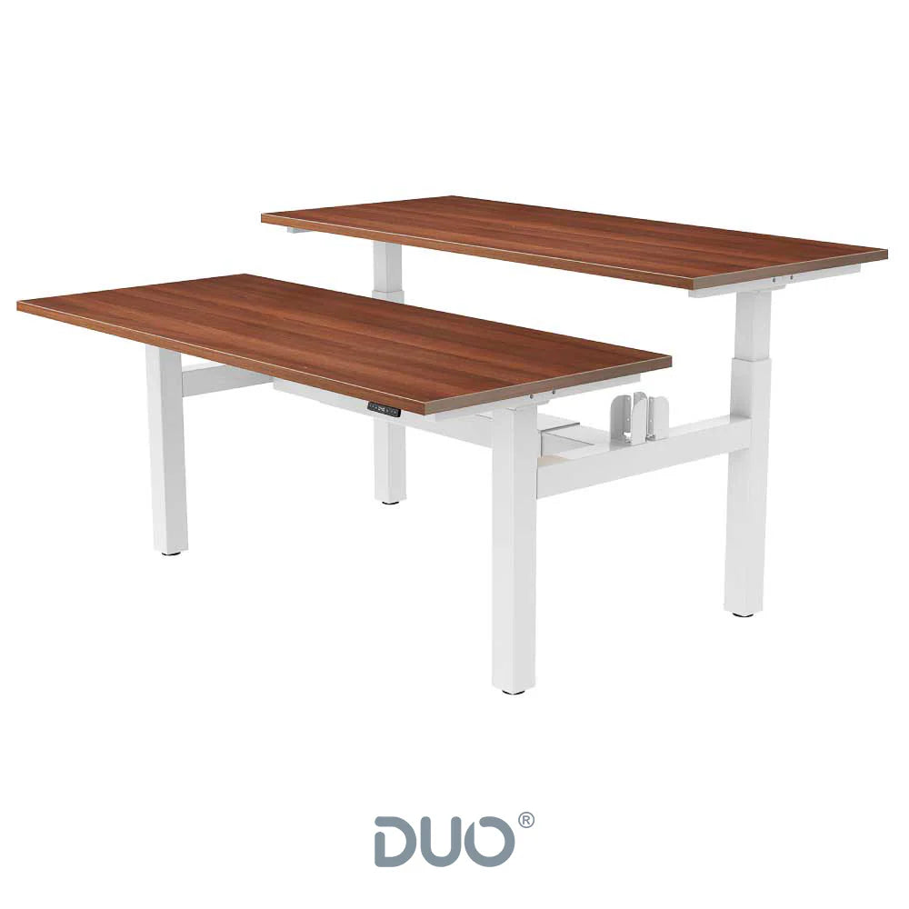 Yo-Yo DESK DUO Back-2-Back Height Adjustable Standing Desk