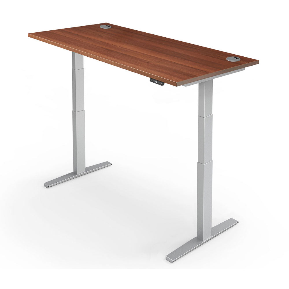 Yo-Yo DESK PRO 2+ Dual Motor Electric Adjustable Standing Desk