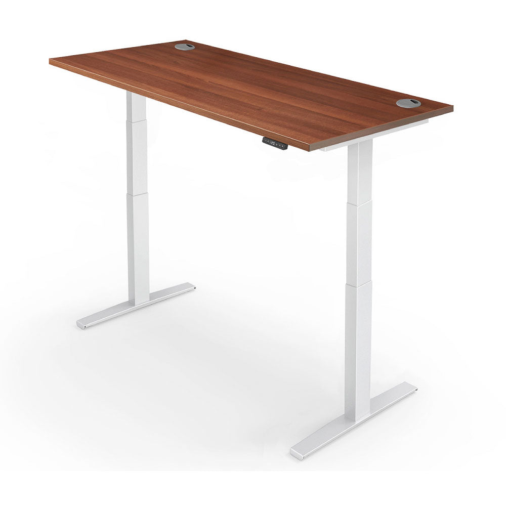 Yo-Yo DESK PRO 2+ Dual Motor Electric Adjustable Standing Desk