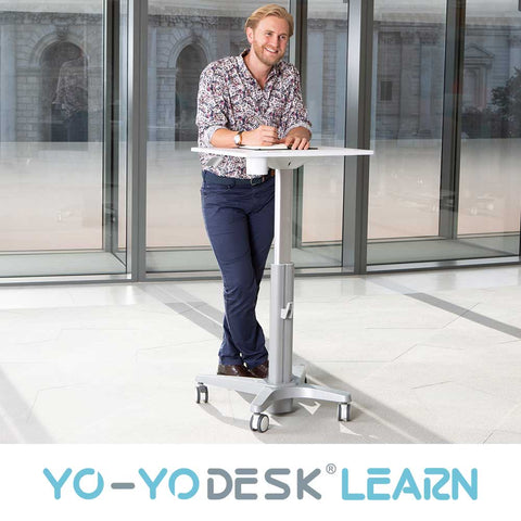 Yo-Yo DESK LEARN uk